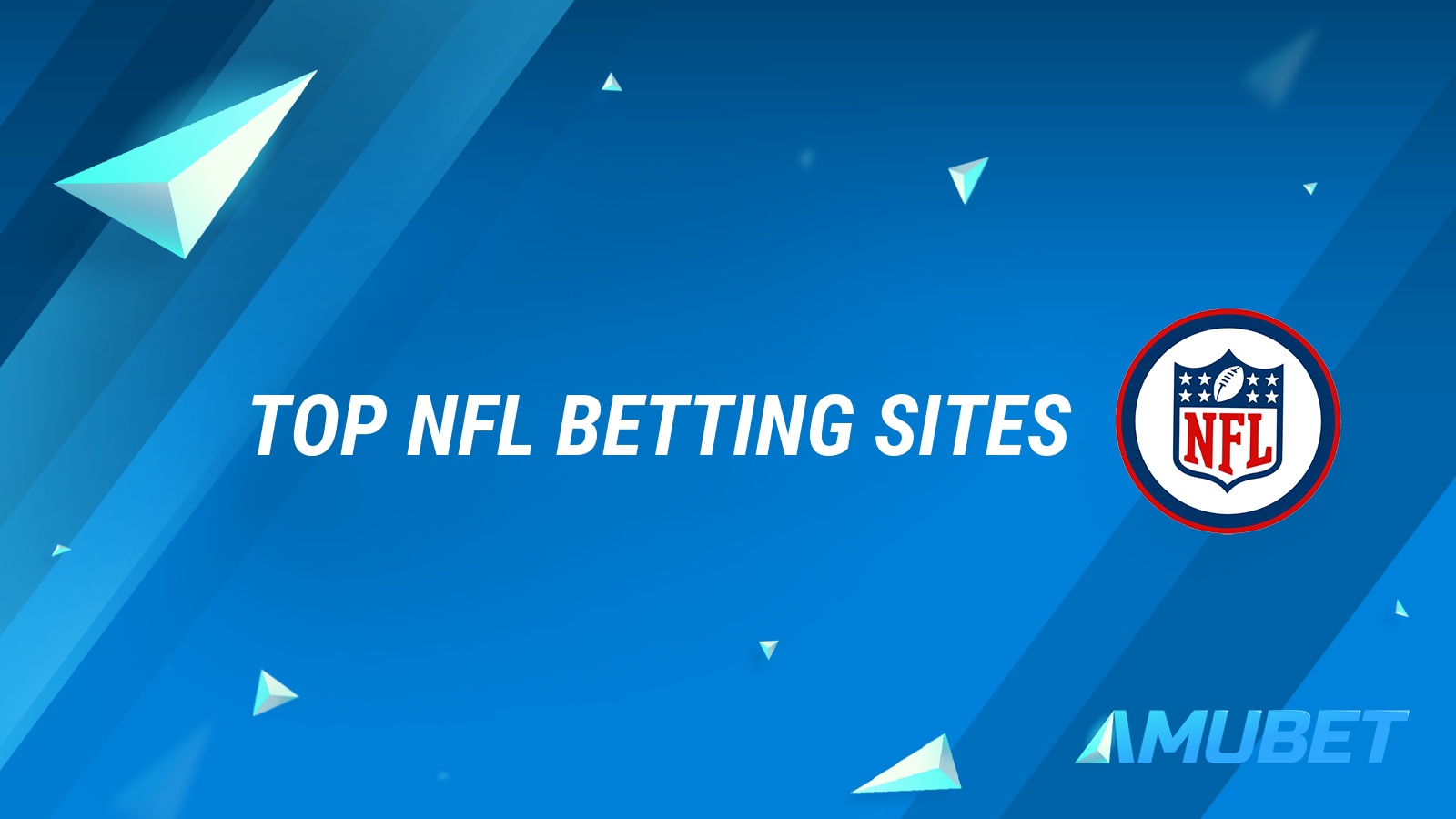 Top NFL Betting Sites 2024 Find the Perfect Sportsbook for Your Bets