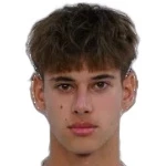 N. Romanov