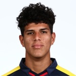 P. Hincapie