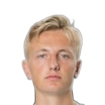 V. Skjaervik