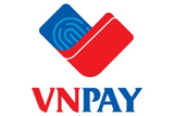 VN Pay Logo